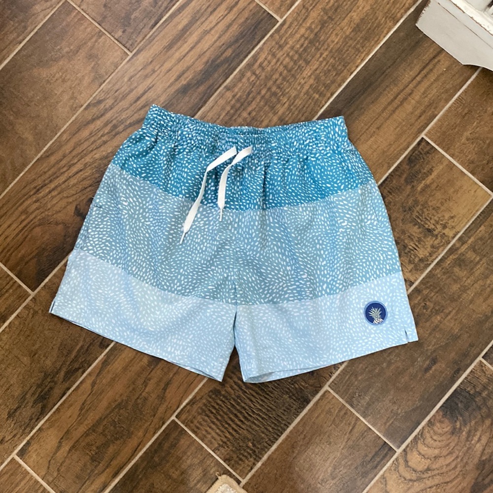 chubbies swim short